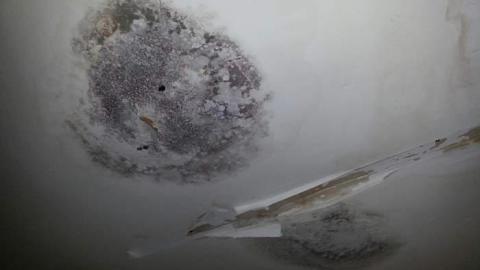 Home Security photo 2