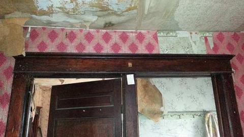 dec 13. 2014 - 20141213_132540.jpg