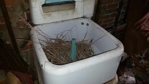 dec 13. 2014 - 20141213_132827.jpg