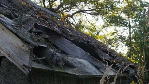 Photo from Beauty Destroyed