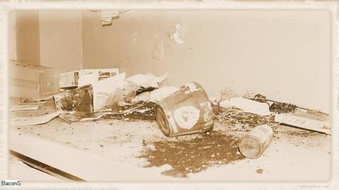 Beauty Destroyed - Rice-House10.jpg