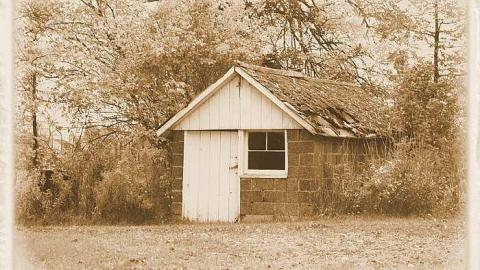 Beauty Destroyed - Rice-House17.jpg