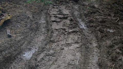 Foggy Christmas Eve - Hopscotch15.jpg