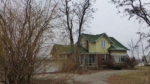 New Years Day 2015 - Harry-Davis25.jpg