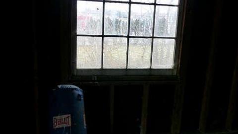 New Years Day 2015 - Harry-Davis26.jpg