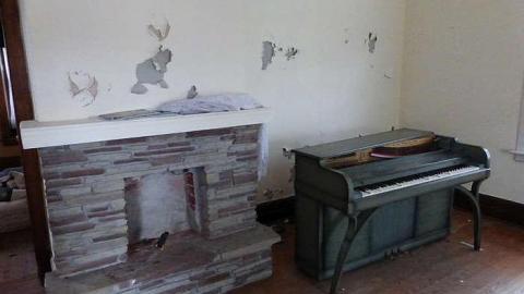 New Years Day 2015 - Harry-Davis10.jpg