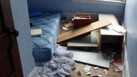 New Years Day 2015 - Harry-Davis17.jpg