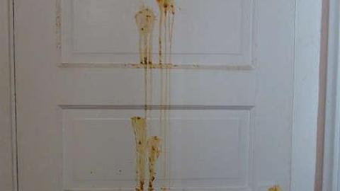 New Years Day 2015 - Harry-Davis20.jpg