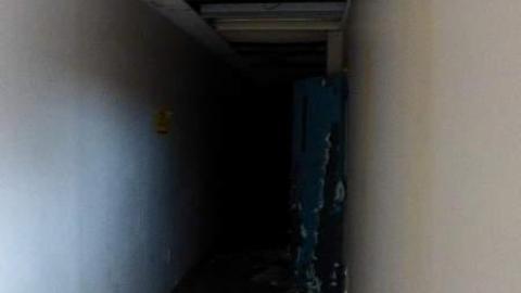 Stamped out - Stamping-Plant3.jpg