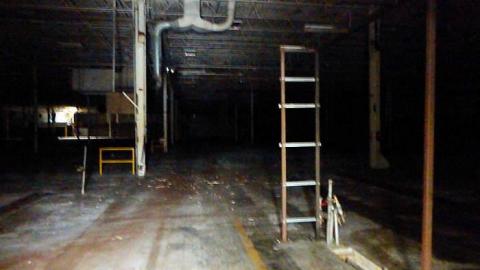 Stamped out - Stamping-Plant4.jpg