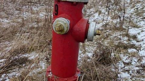 Stamped out - Stamping-Plant6.jpg