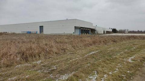 Stamped out - Stamping-Plant15.jpg