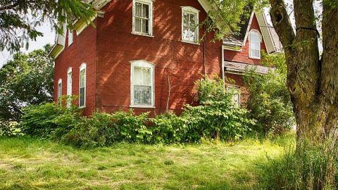 Don't come back! cover photo