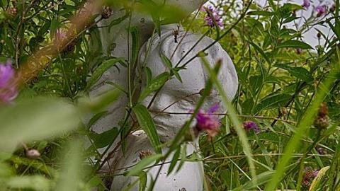 Photo from Don't come back!