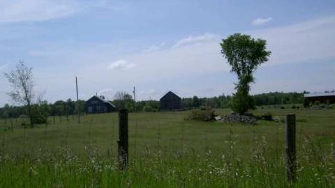 Gallery - Burys-Green-(gunshot-story)6.jpg