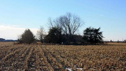 Jan 2015 - Deavy-Farm8.jpg