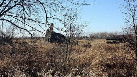 Jan 2015 - Deavy-Farm65.jpg