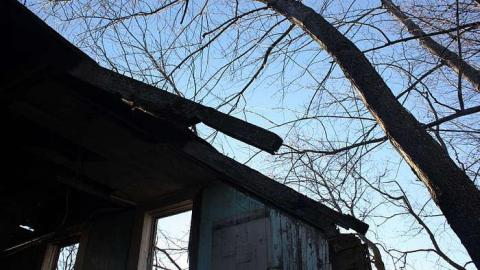 Jan 2015 - Deavy-Farm68.jpg