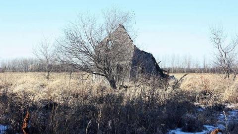 Jan 2015 - Deavy-Farm54.jpg