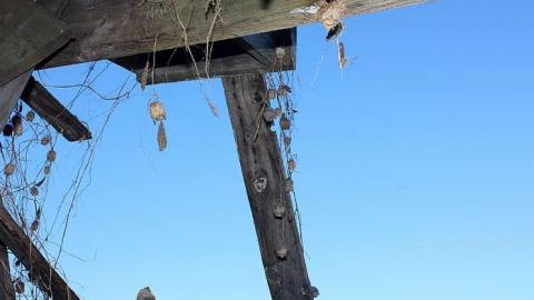 Jan 2015 - Deavy-Farm13.jpg