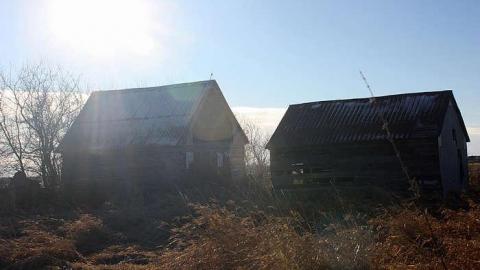 Jan 2015 - Deavy-Farm56.jpg