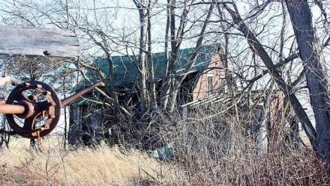 Jan 2015 - Deavy-Farm57.jpg