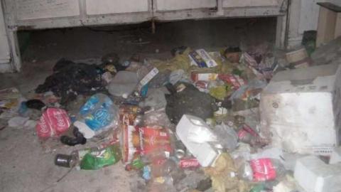 Houses of Scat photo 5