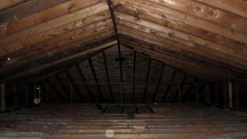 Houses of Scat - Ottawa, Ontario