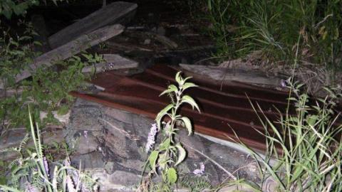 June 2010 - Deavy-Farm72.jpg