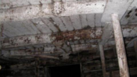 Photo from June 2010