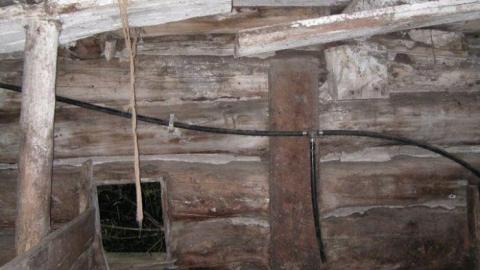 Photo from June 2010