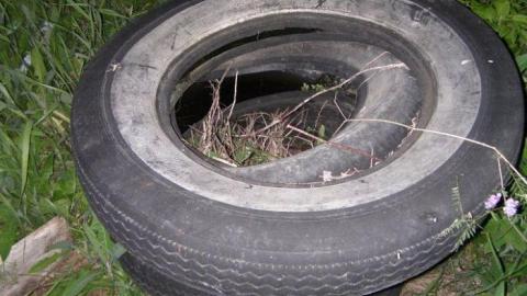 June 2010 - Deavy-Farm85.jpg