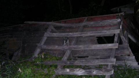 June 2010 - Deavy-Farm86.jpg