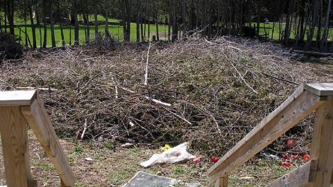 Sept 13 & May 14 - P5064389.jpg