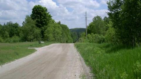 Gallery - Conways2.jpg