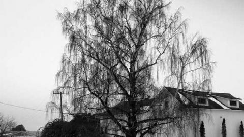 Photo from February 2011 Visit