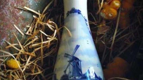 Photo from February 2011 Visit