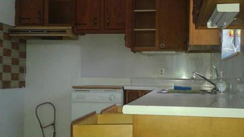 All Three - January 2015 - Mr.-and-Mrs.-Sauga80.jpg