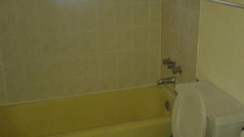 All Three - January 2015 - Mr.-and-Mrs.-Sauga71.jpg