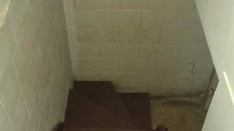 All Three - January 2015 - Mr.-and-Mrs.-Sauga81.jpg