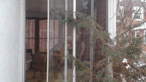 All Three - January 2015 - Mr.-and-Mrs.-Sauga72.jpg