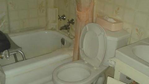 All Three - January 2015 - Mr.-and-Mrs.-Sauga83.jpg