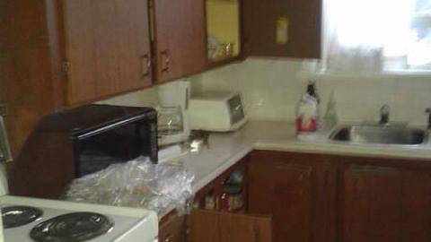 All Three - January 2015 - Mr.-and-Mrs.-Sauga74.jpg