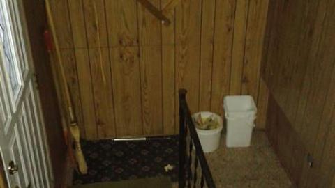 All Three - January 2015 - Mr.-and-Mrs.-Sauga84.jpg