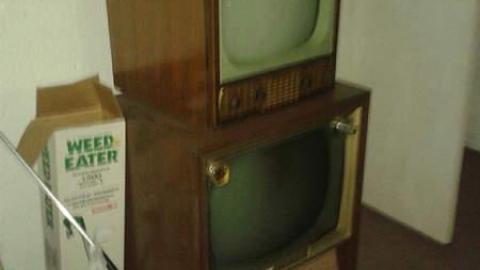 All Three - January 2015 - Mr.-and-Mrs.-Sauga75.jpg