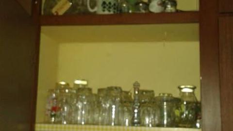 All Three - January 2015 - Mr.-and-Mrs.-Sauga85.jpg