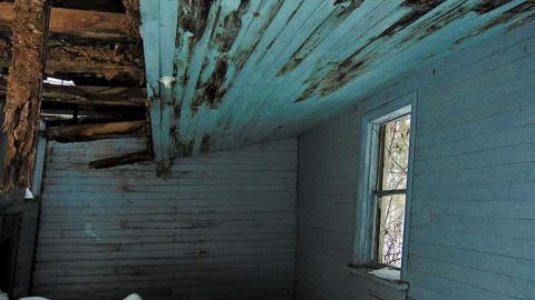 Pearson Seafoam - Pearson-in-Seafoam6.jpg