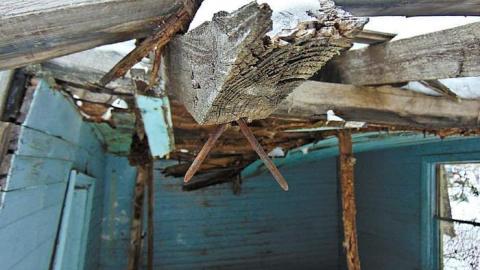 Pearson Seafoam - Pearson-in-Seafoam11.jpg