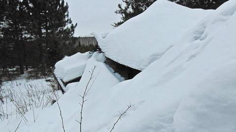 Pearson Seafoam - Pearson-in-Seafoam8.jpg