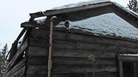 Pearson Seafoam - Pearson-in-Seafoam12.jpg